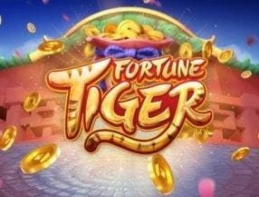 qual melhor horario para jogar fortune tiger ícone